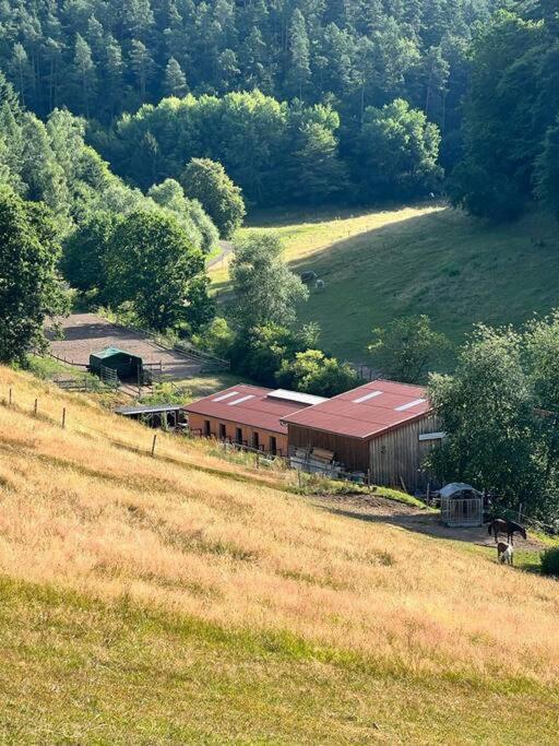 Ferienwohnung Beim Pferdehof Neuenstein (Hessen) Exterior foto