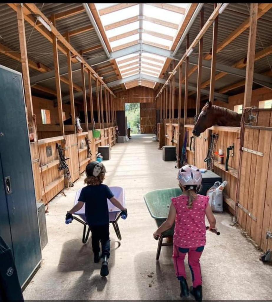Ferienwohnung Beim Pferdehof Neuenstein (Hessen) Exterior foto